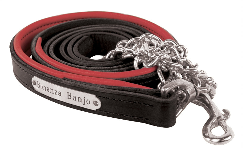Perri's Personalized Padded Leather Lead with Chain