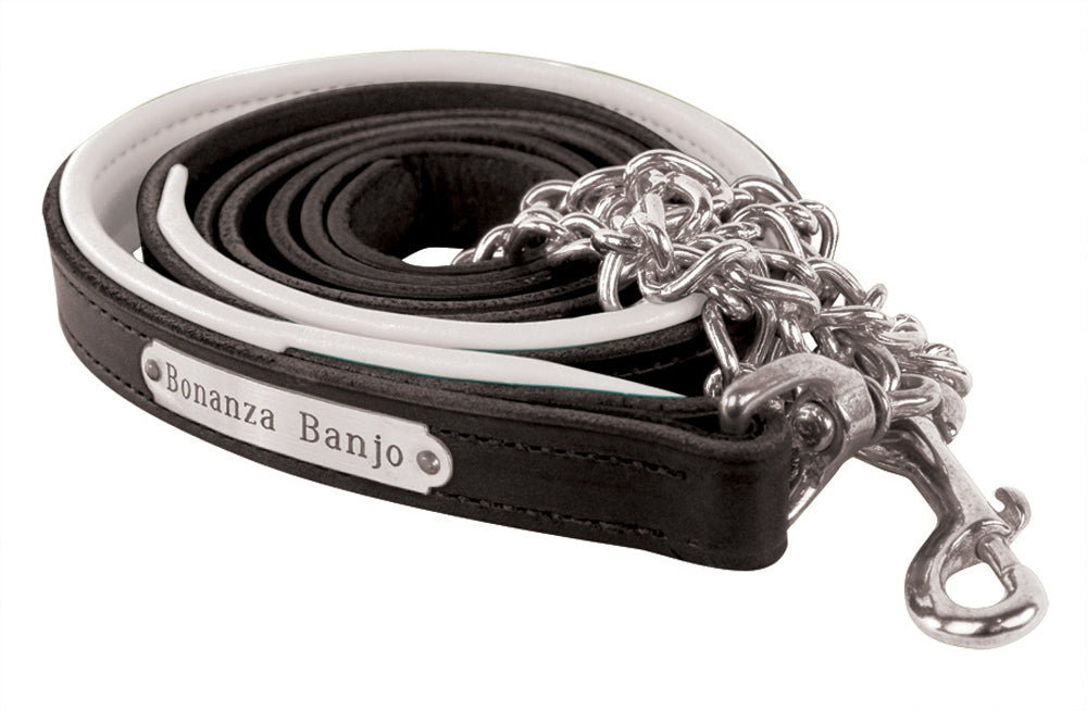Perri's Personalized Padded Leather Lead with Chain