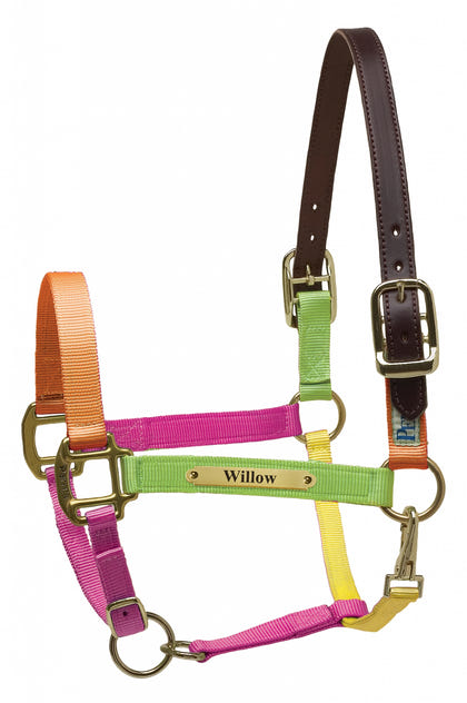 Perri's Personalized Premium Nylon Safety Halter