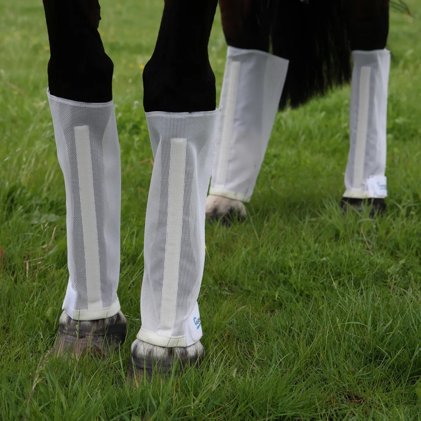 Shires Arma Mesh Fly Boots
