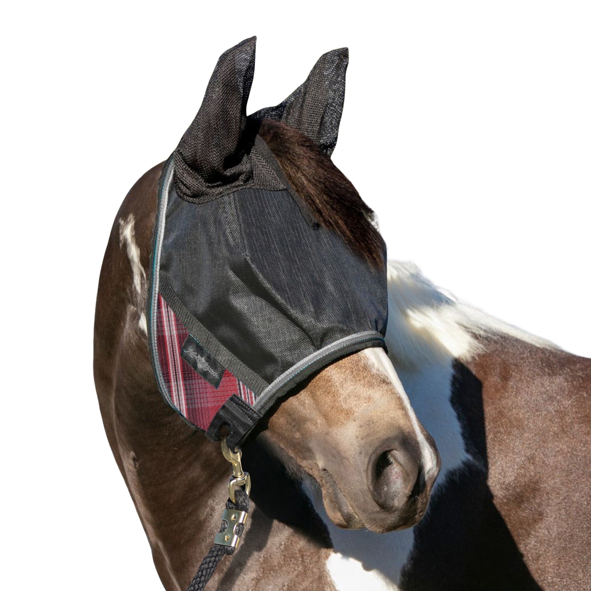 UV CatchMask Ears Frlk