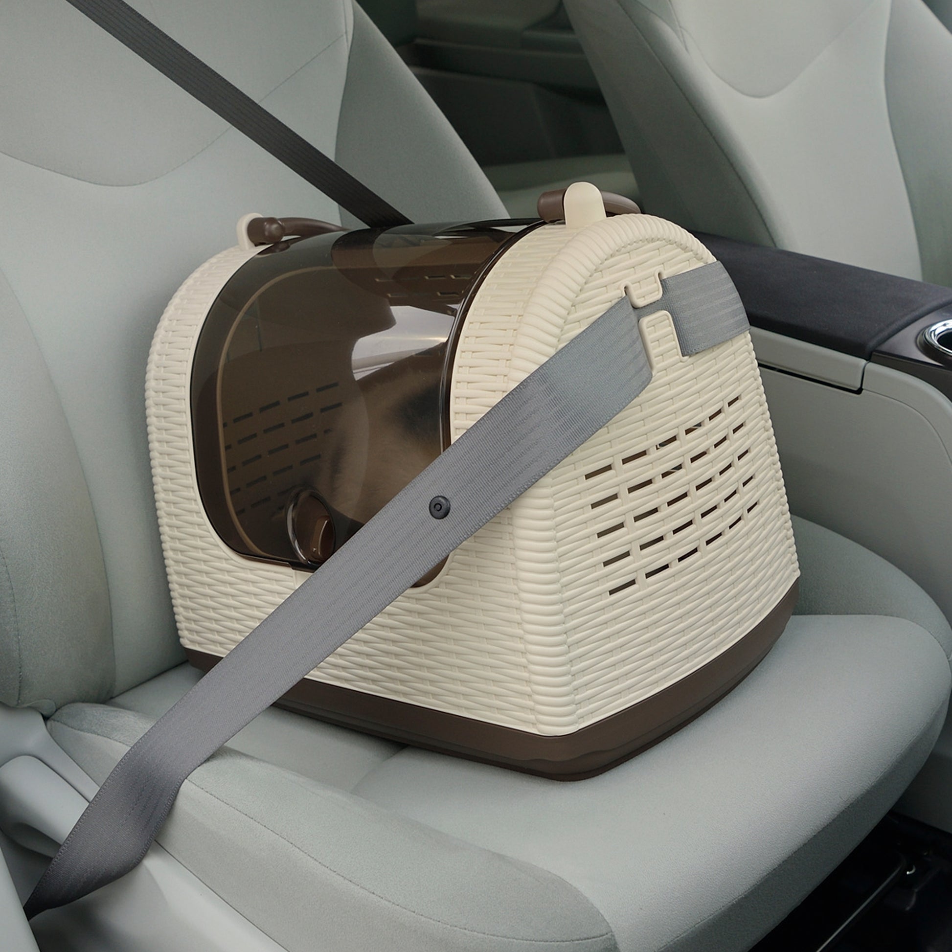 Richell Faux Wicker Pet Carrier