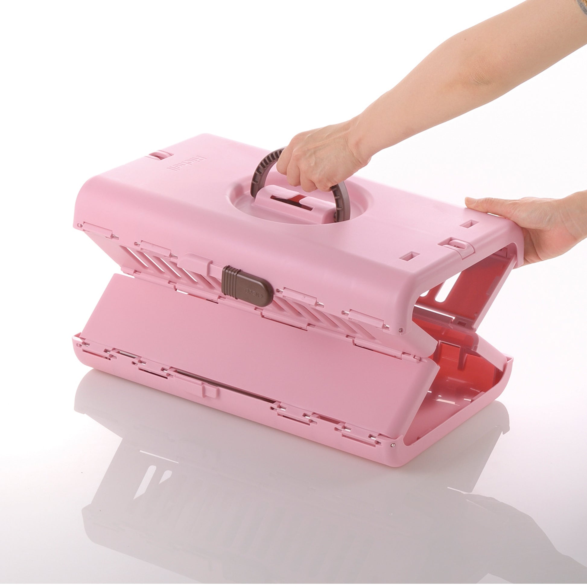 Richell Foldable Pet Carrier