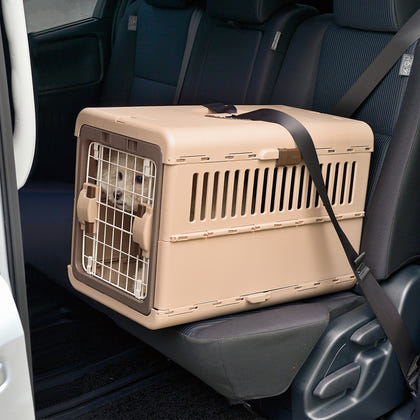 Richell Foldable Pet Carrier