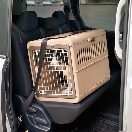 Richell Foldable Pet Carrier