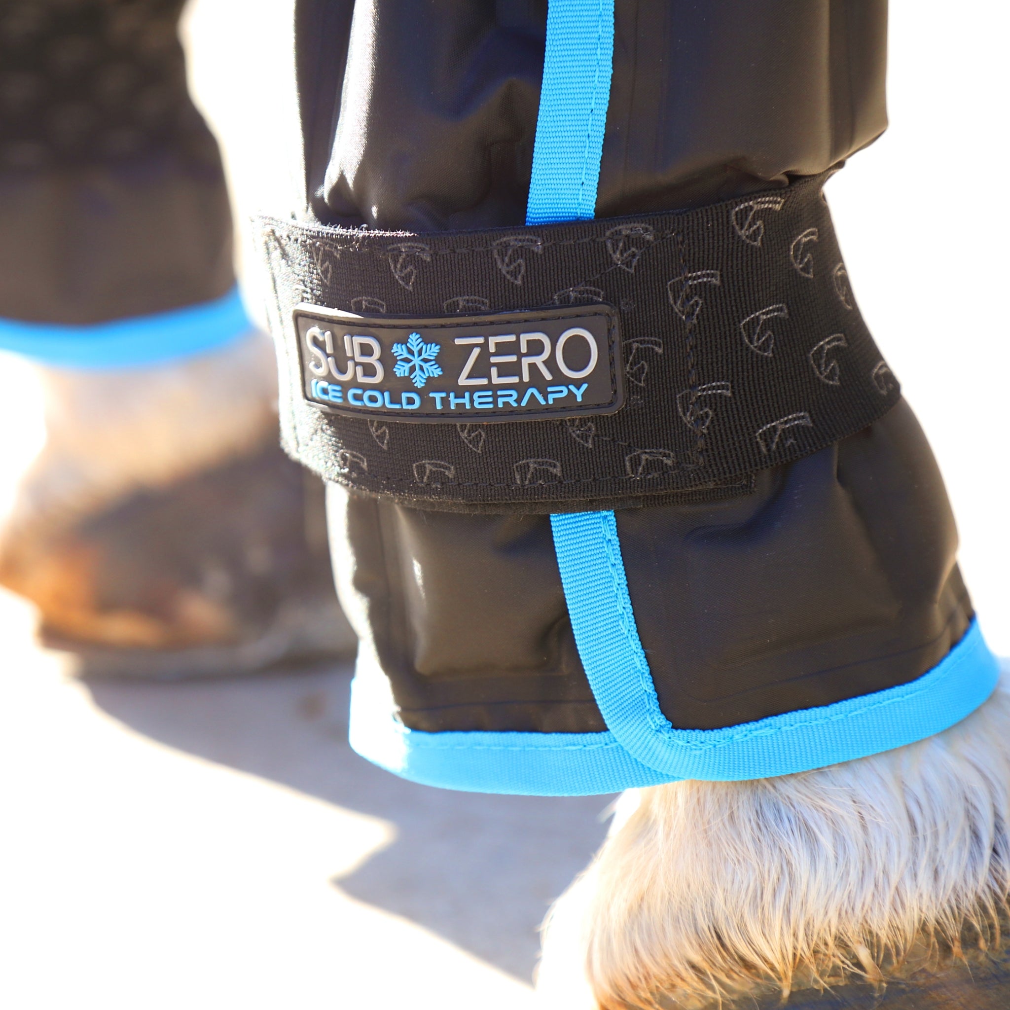 Shires ARMA SubZero Ice Boots