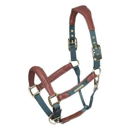 Shires Velociti Lusso Padded Leather Halter
