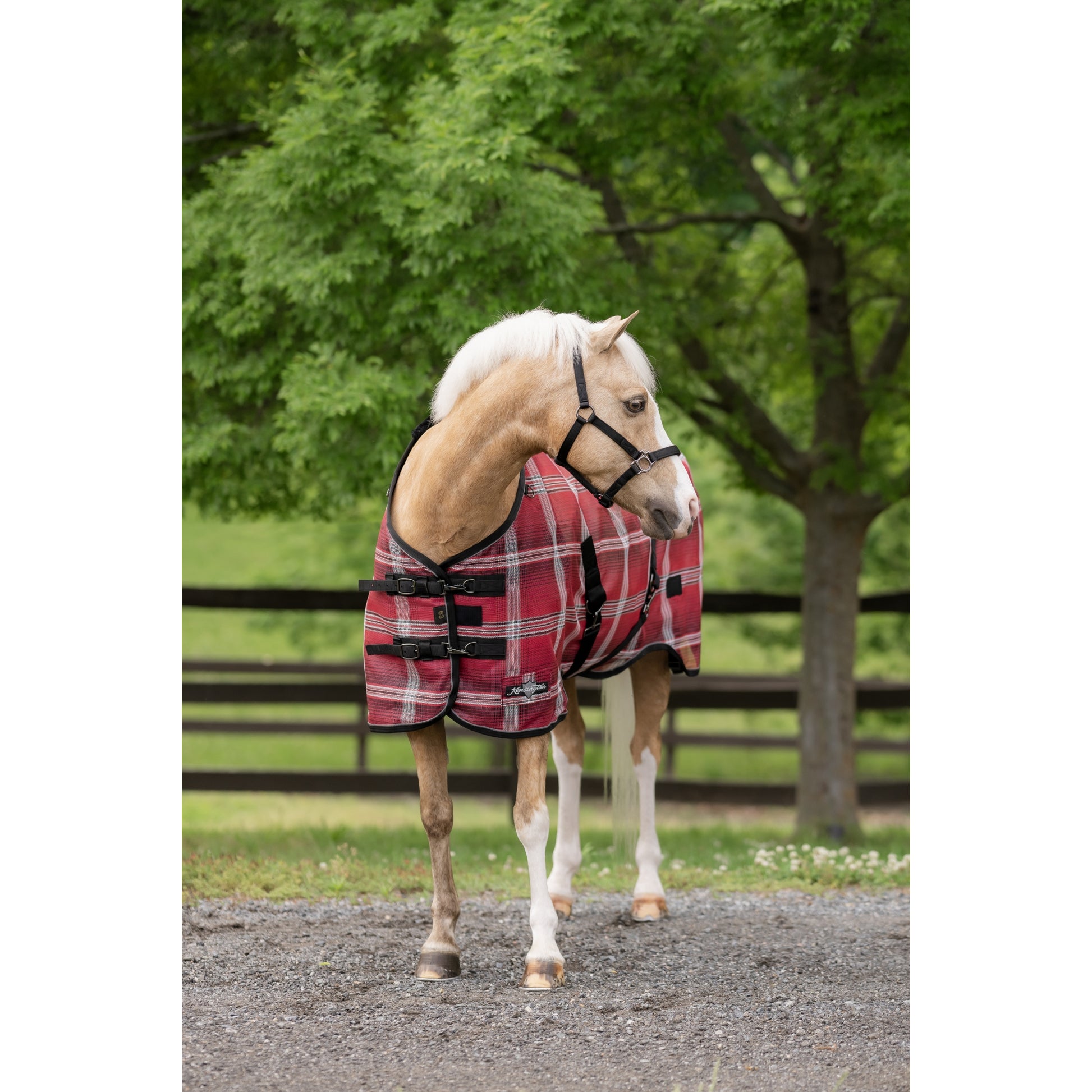 Kensington 73% UV Pony Protective Fly Sheet