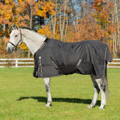 Equinavia Norse Lite Turnout Blanket 100g