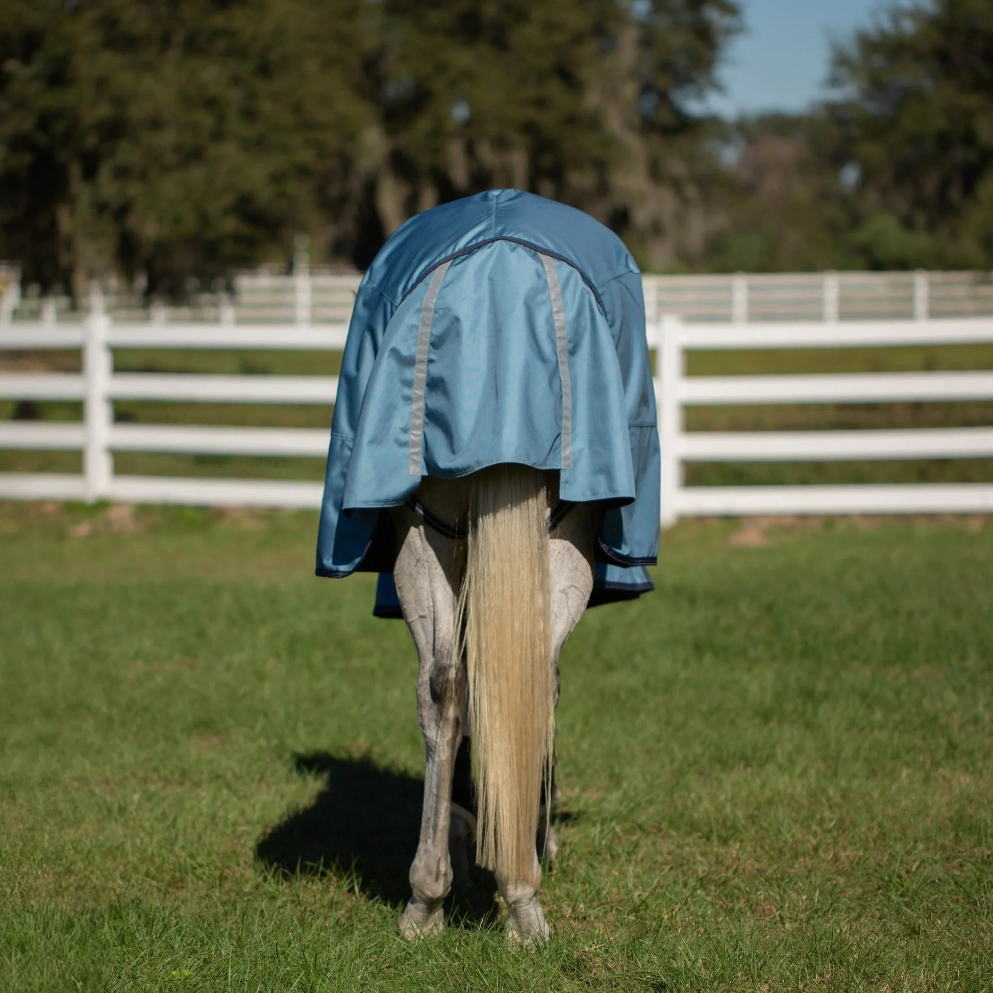Equinavia Thunder 360 Detachable Neck Light Weight Turnout Blanket 100g
