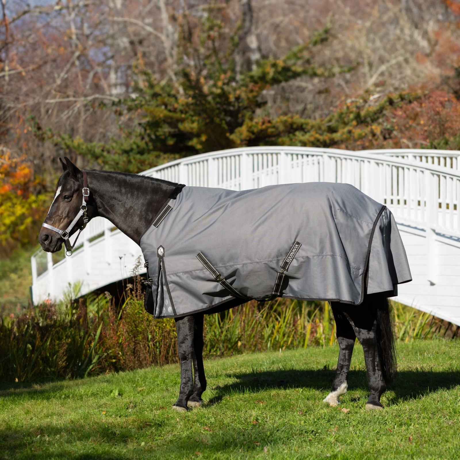 Equinavia Arktis Regular Neck Turnout Sheet