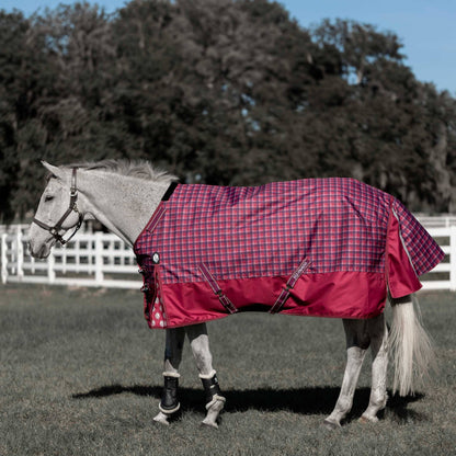 Equinavia Arktis Turnout Blanket 300g