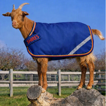 Shires Tempest 200 Goat Rug