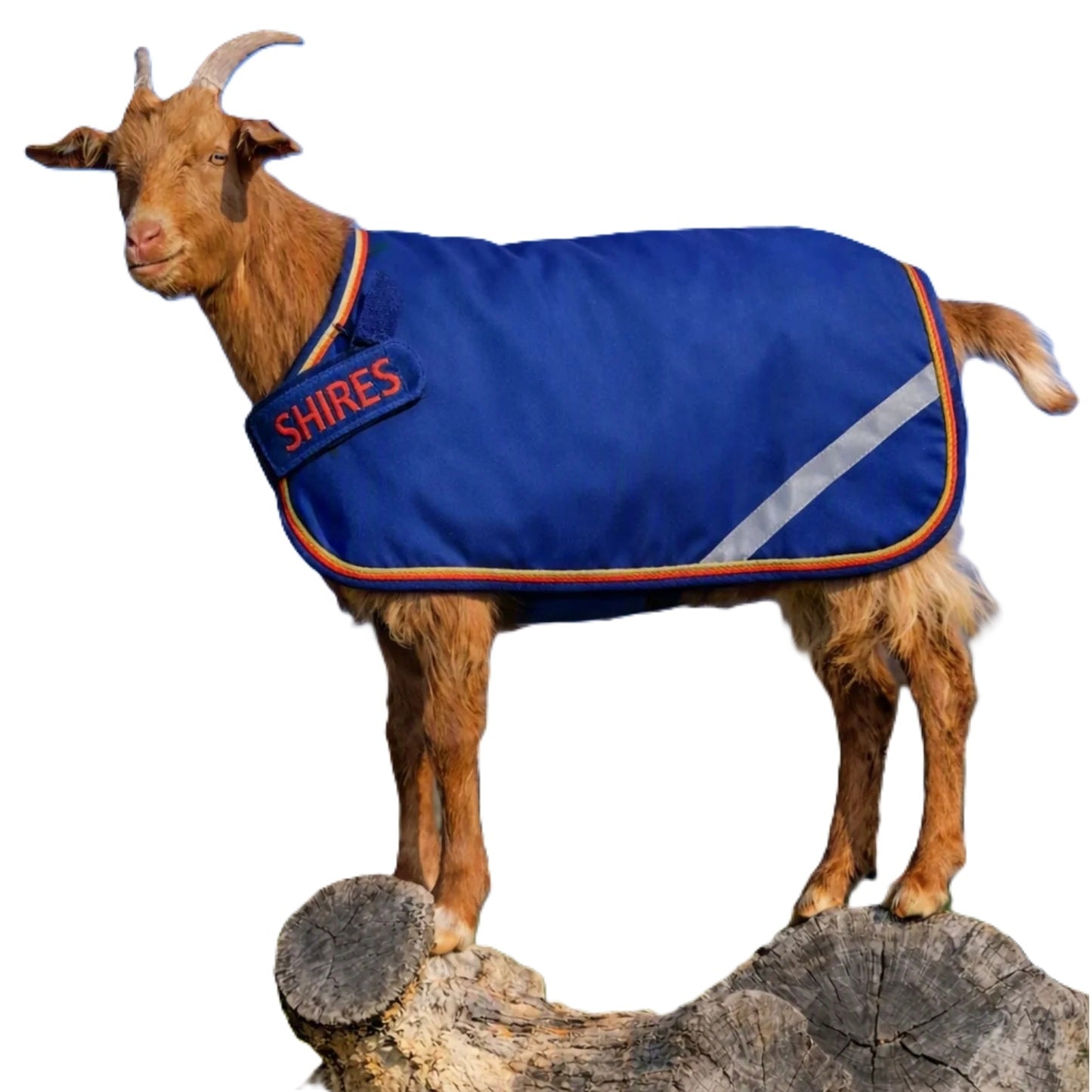 Shires Tempest 200 Goat Rug