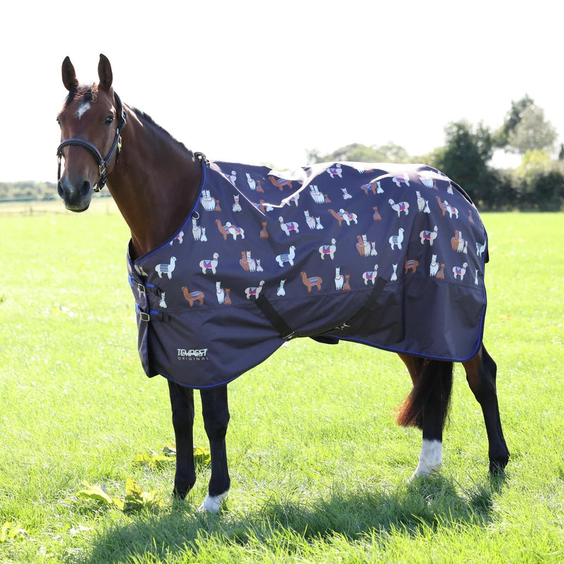 Shires Tempest Original Lite TO