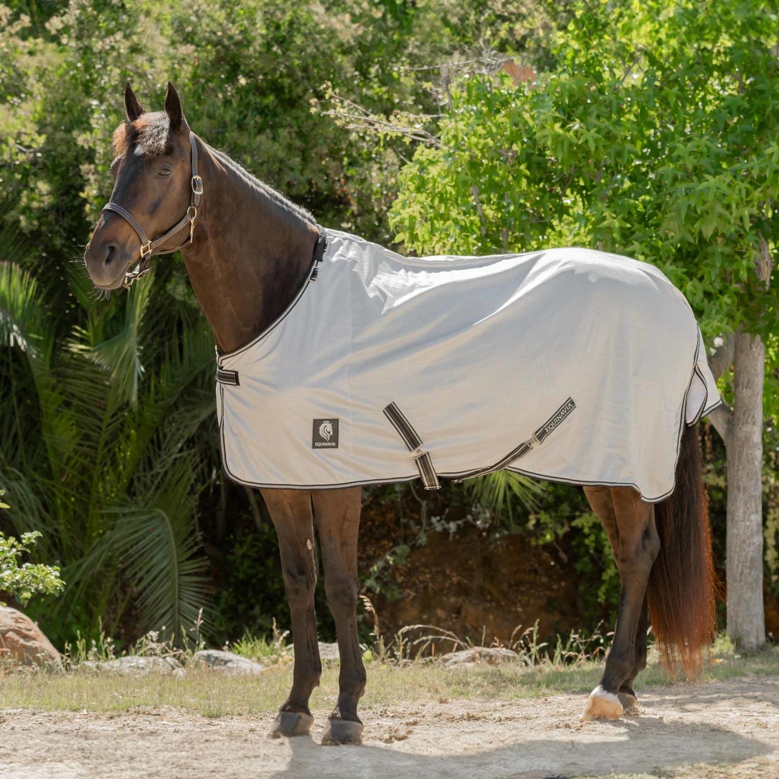 Equinavia Brisk Fly Sheet with Detachable Neck
