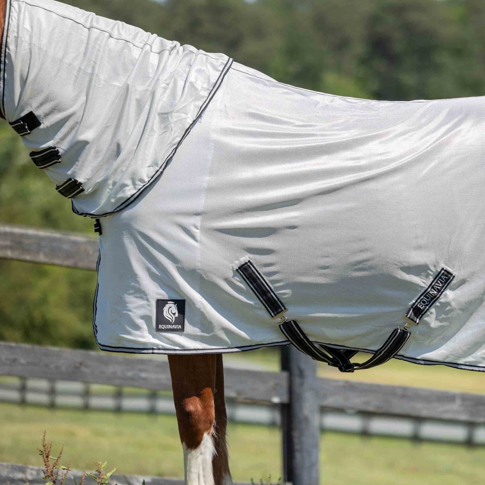 Equinavia Brisk Fly Sheet with Detachable Neck