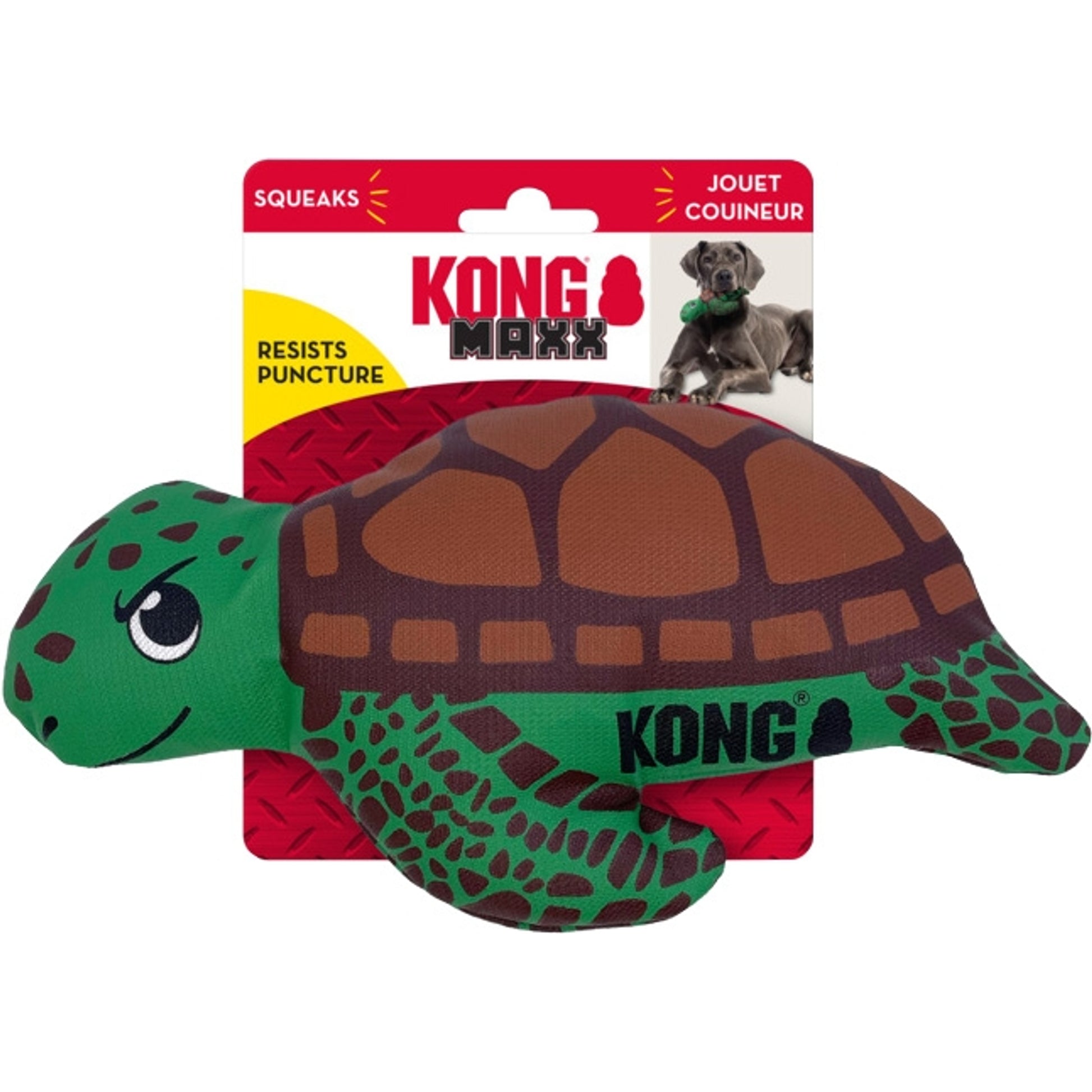 KONG Maxx Turtle