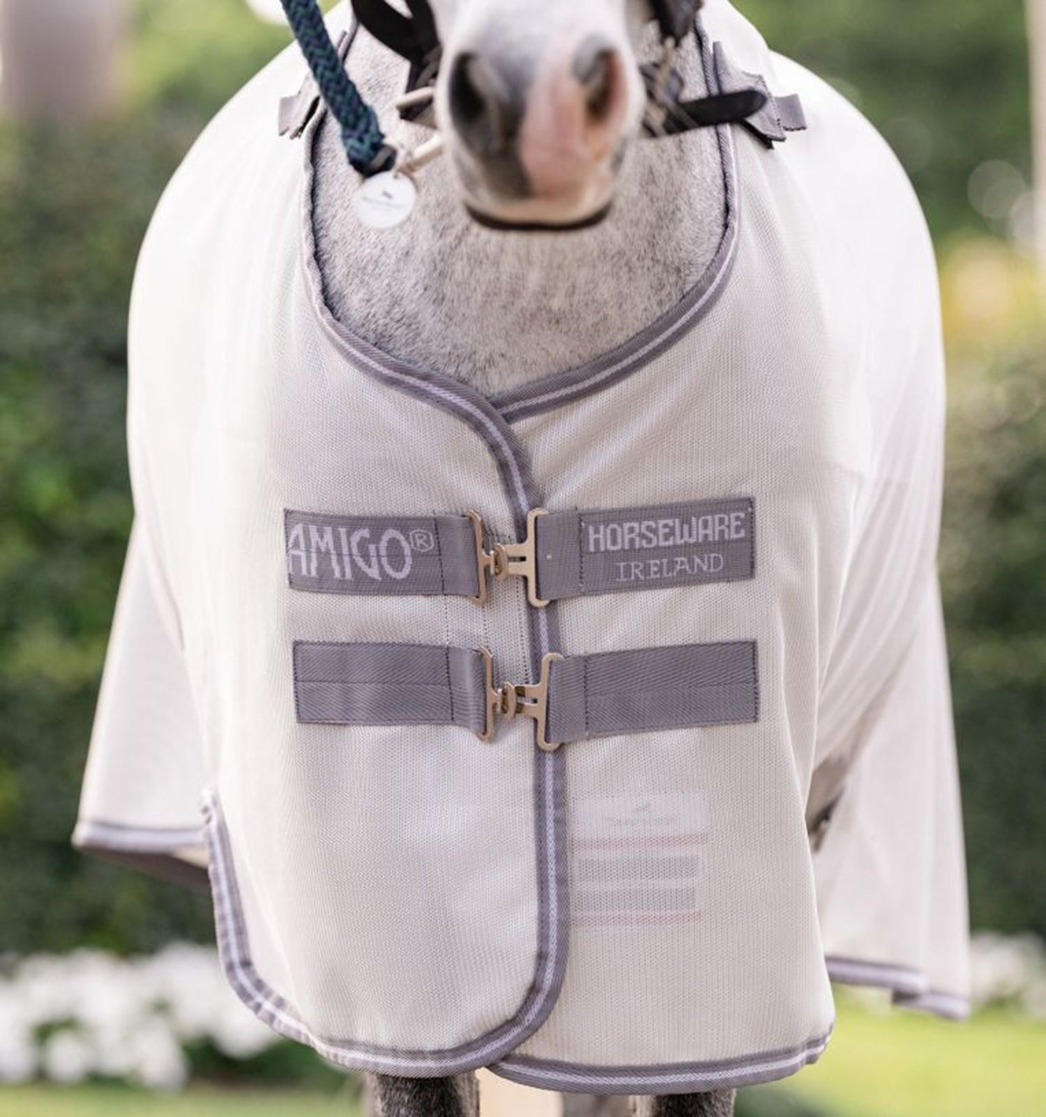Amigo Bug Rug Plus Pony Fly Sheet