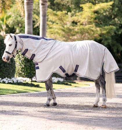 Amigo Bug Rug Plus Pony Fly Sheet