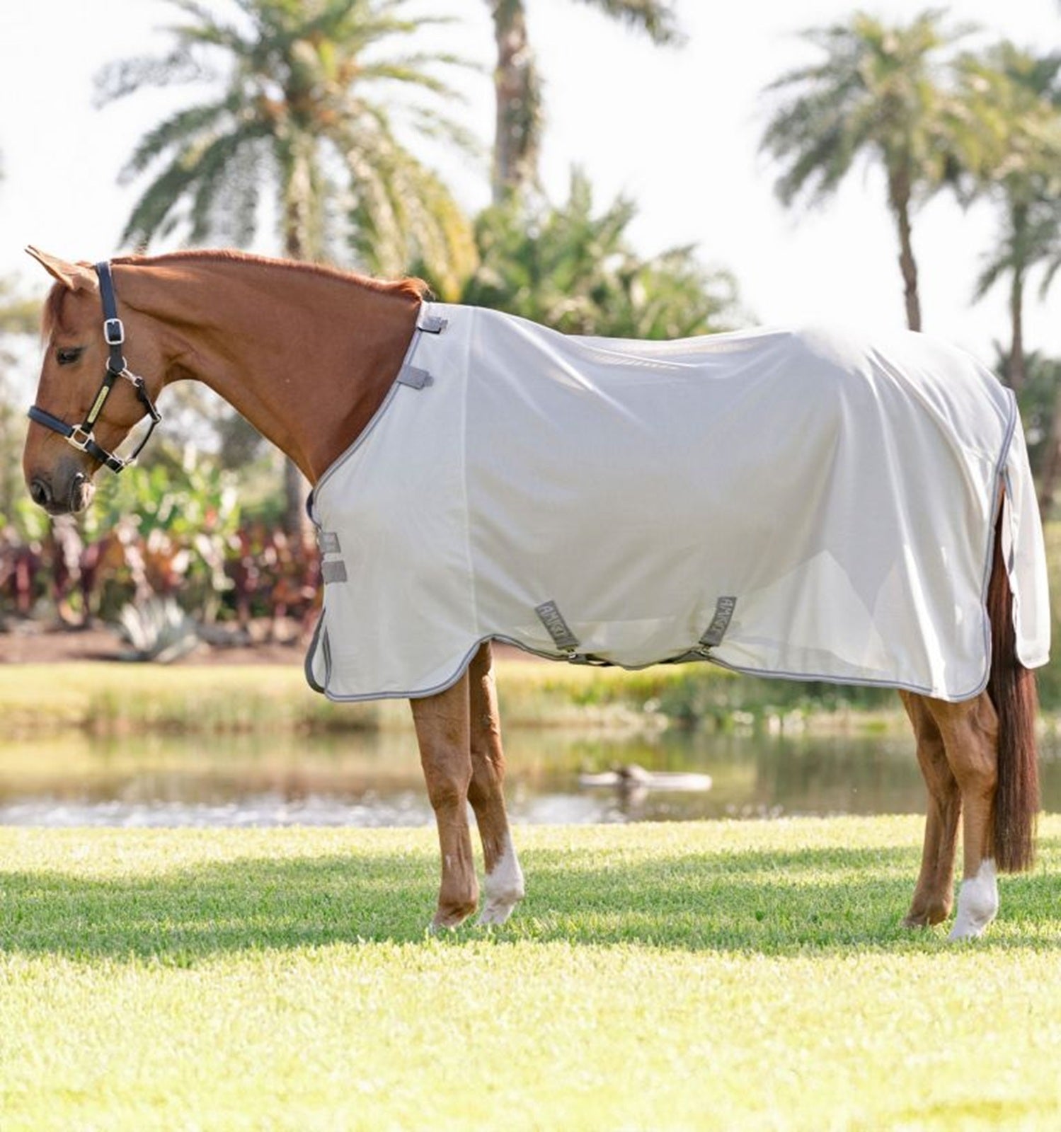 Amigo Bug Rug Fly Sheet