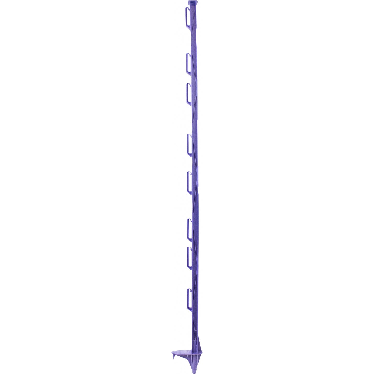 4-446491.jpg