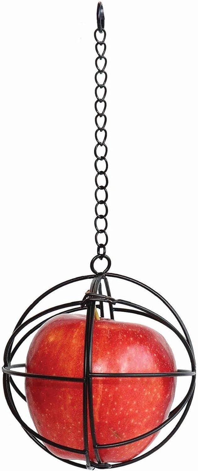 Little Giant Hanging Chicken Treat Ball