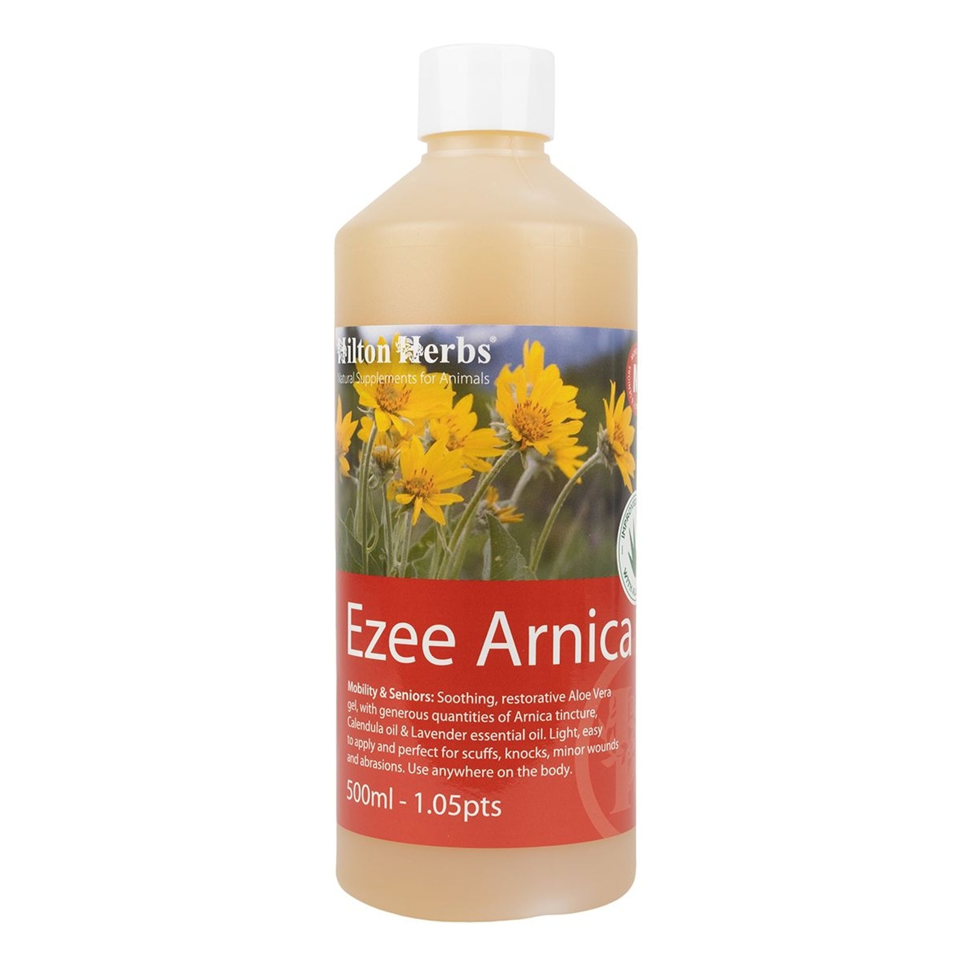 Hilton Herbs Ezee Arnica Gel