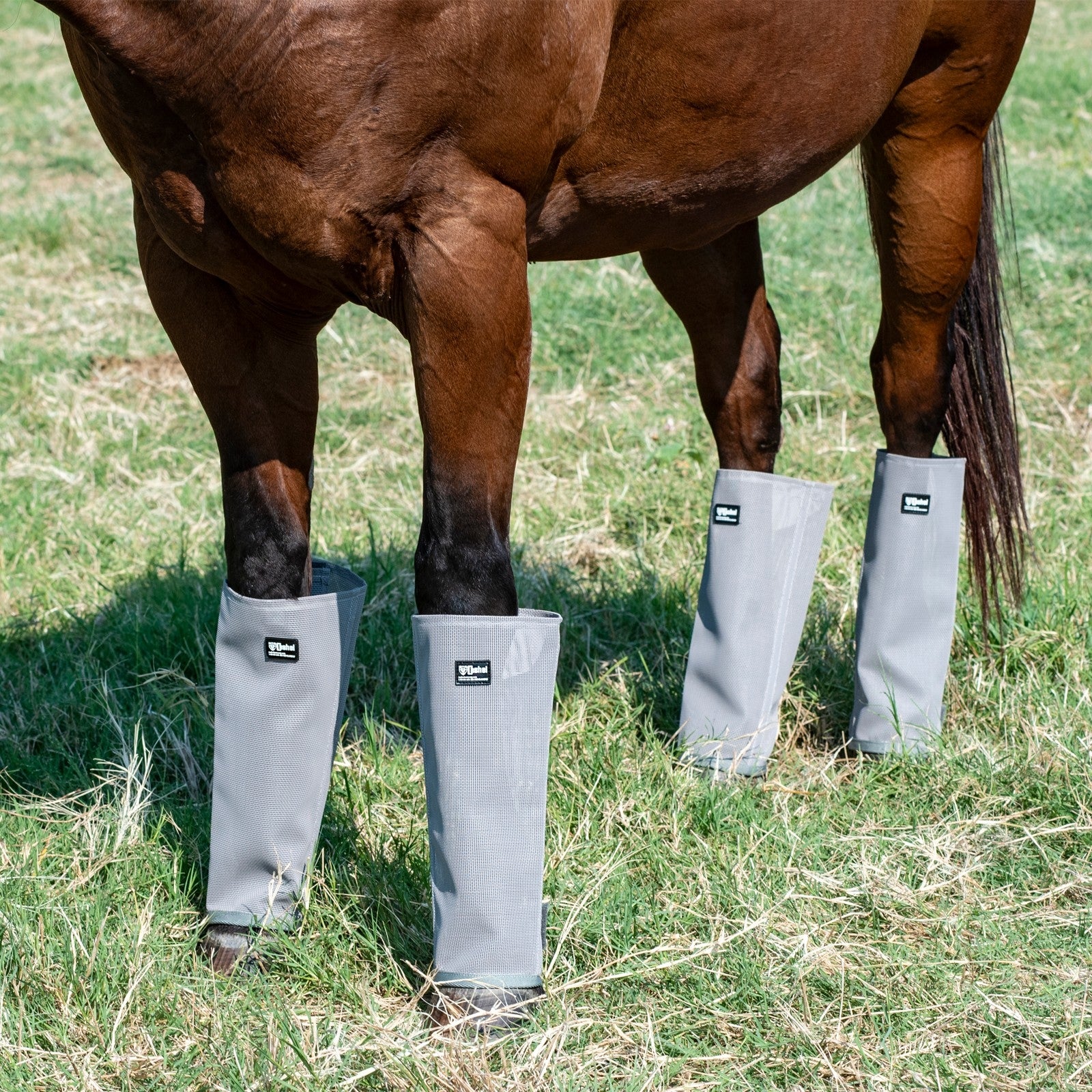 Cashel Crusader Turnout Leg Guards - Set of 4