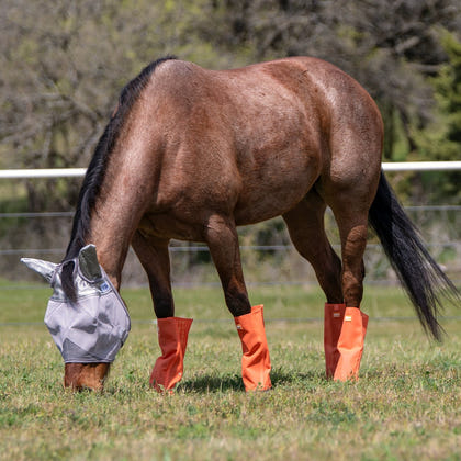 Cashel Crusader Turnout Leg Guards - Set of 4