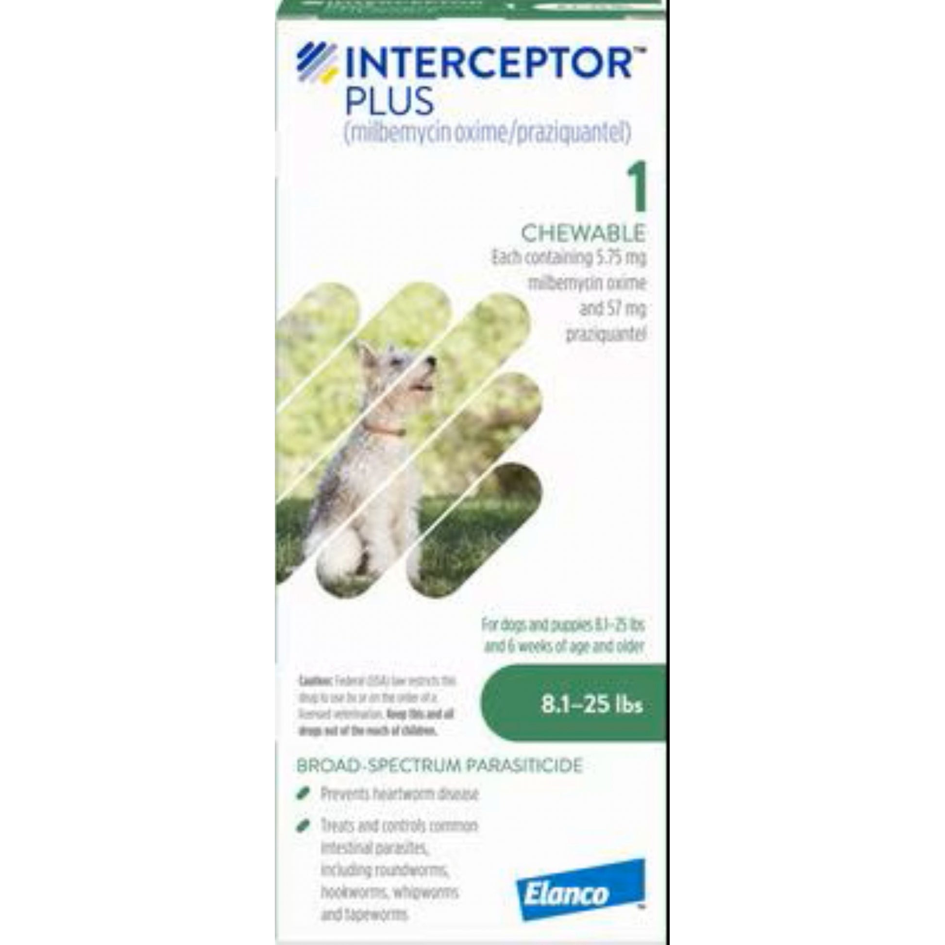 Interceptor Plus for Dogs
