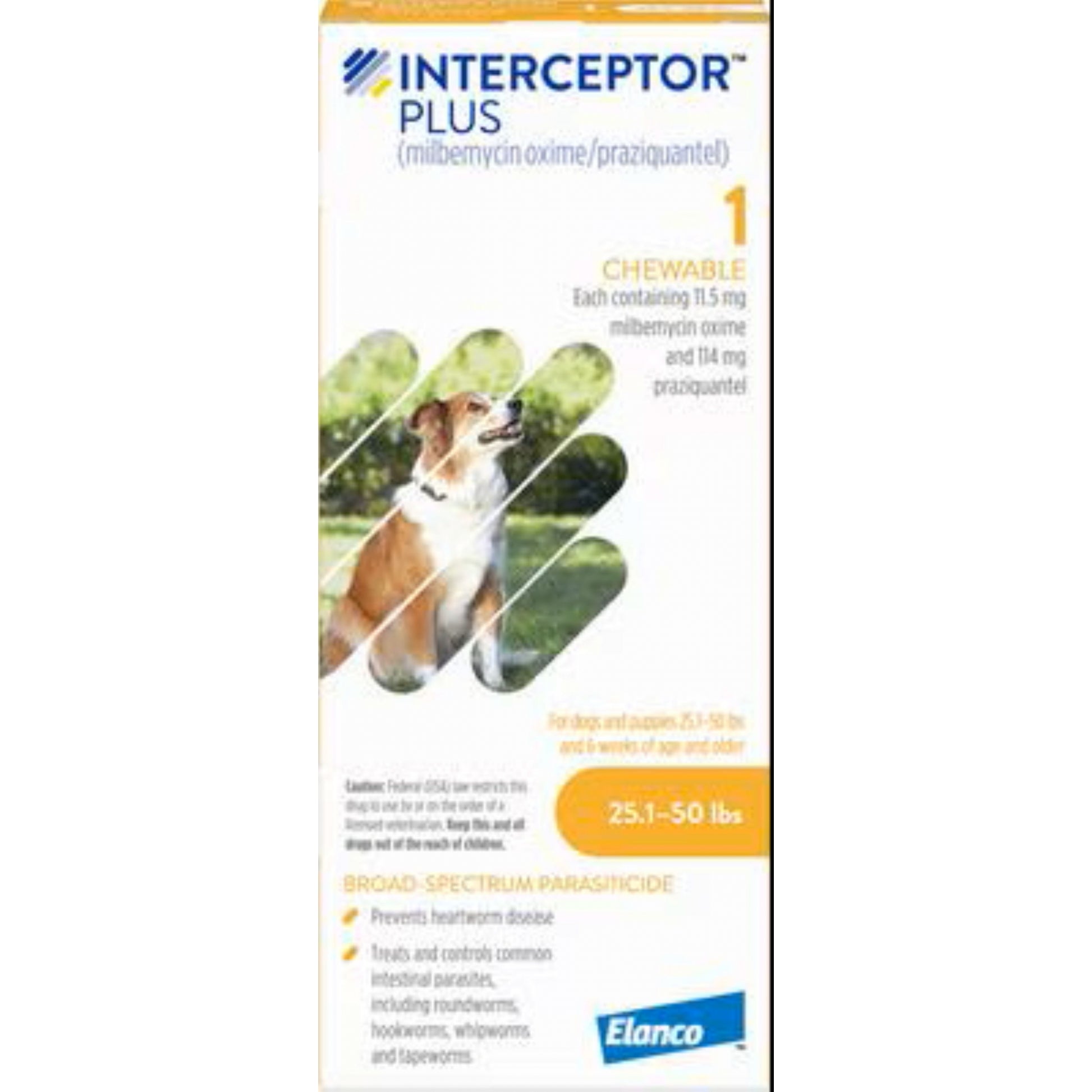 Interceptor Plus for Dogs