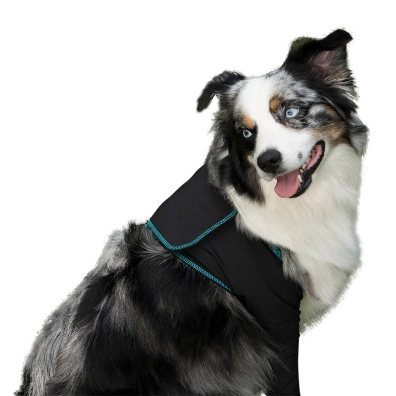 BeneFab Canine Comfort & Care Sleeves - Front