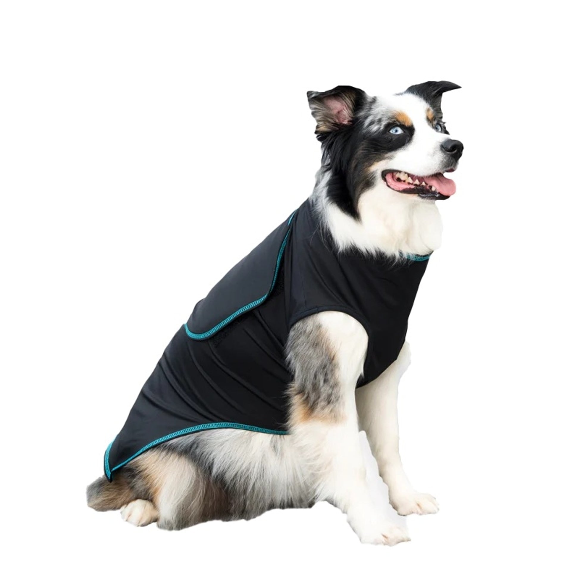 BeneFab Canine Comfort & Care Shirt
