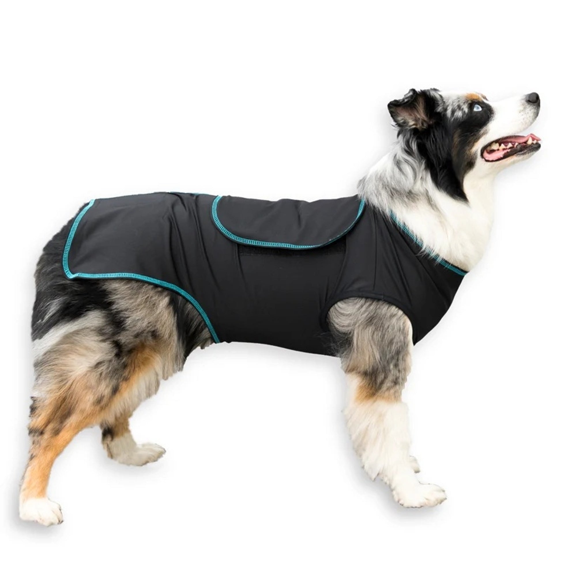 BeneFab Canine Comfort & Care Shirt