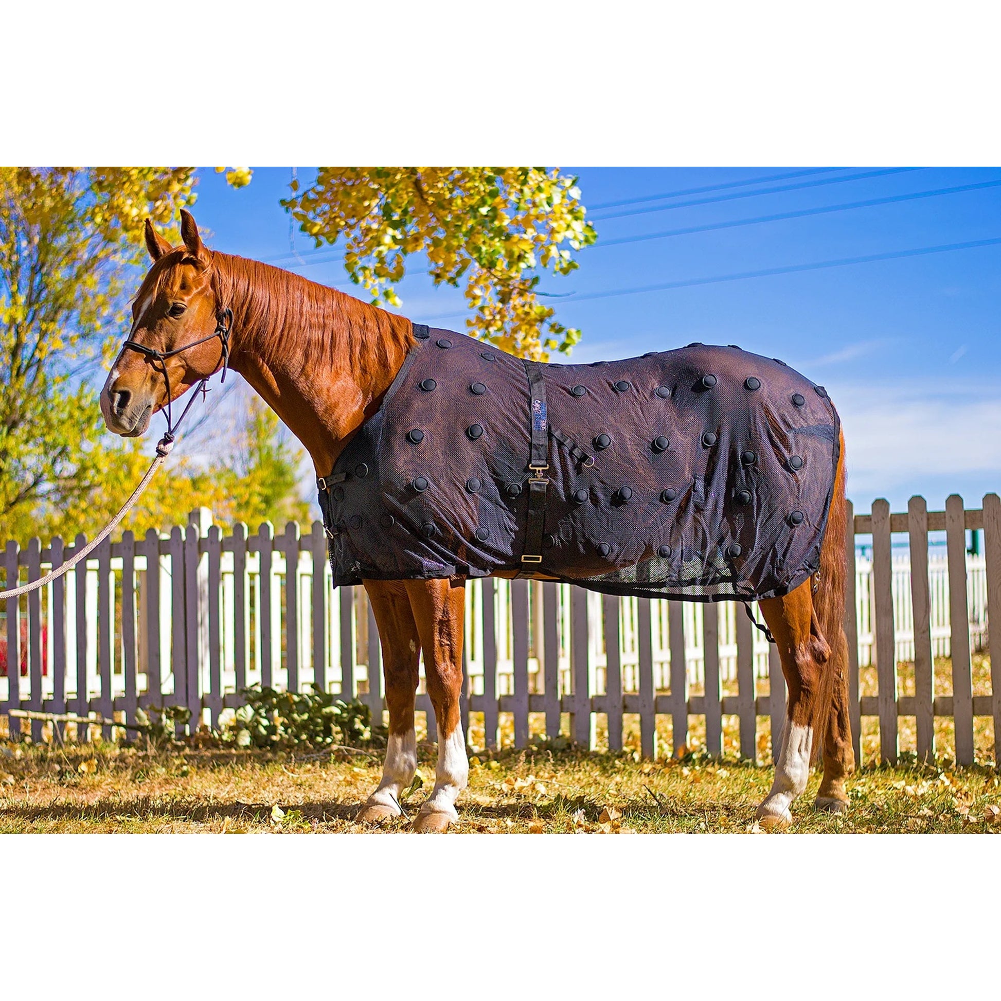 BeneFab Rejuvenate SmartScrim