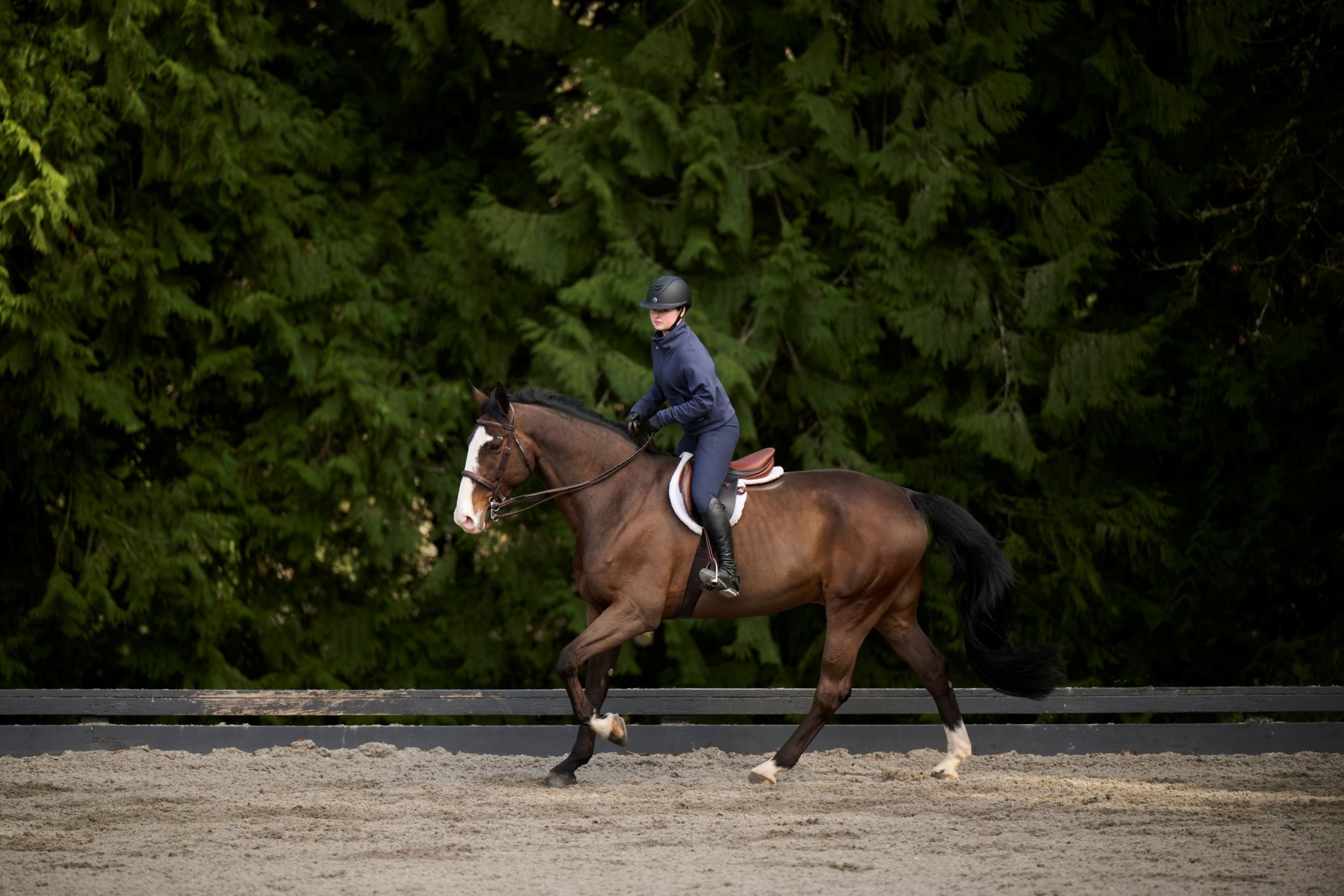 Kerrits Fusion Full Leg Clinic Tight