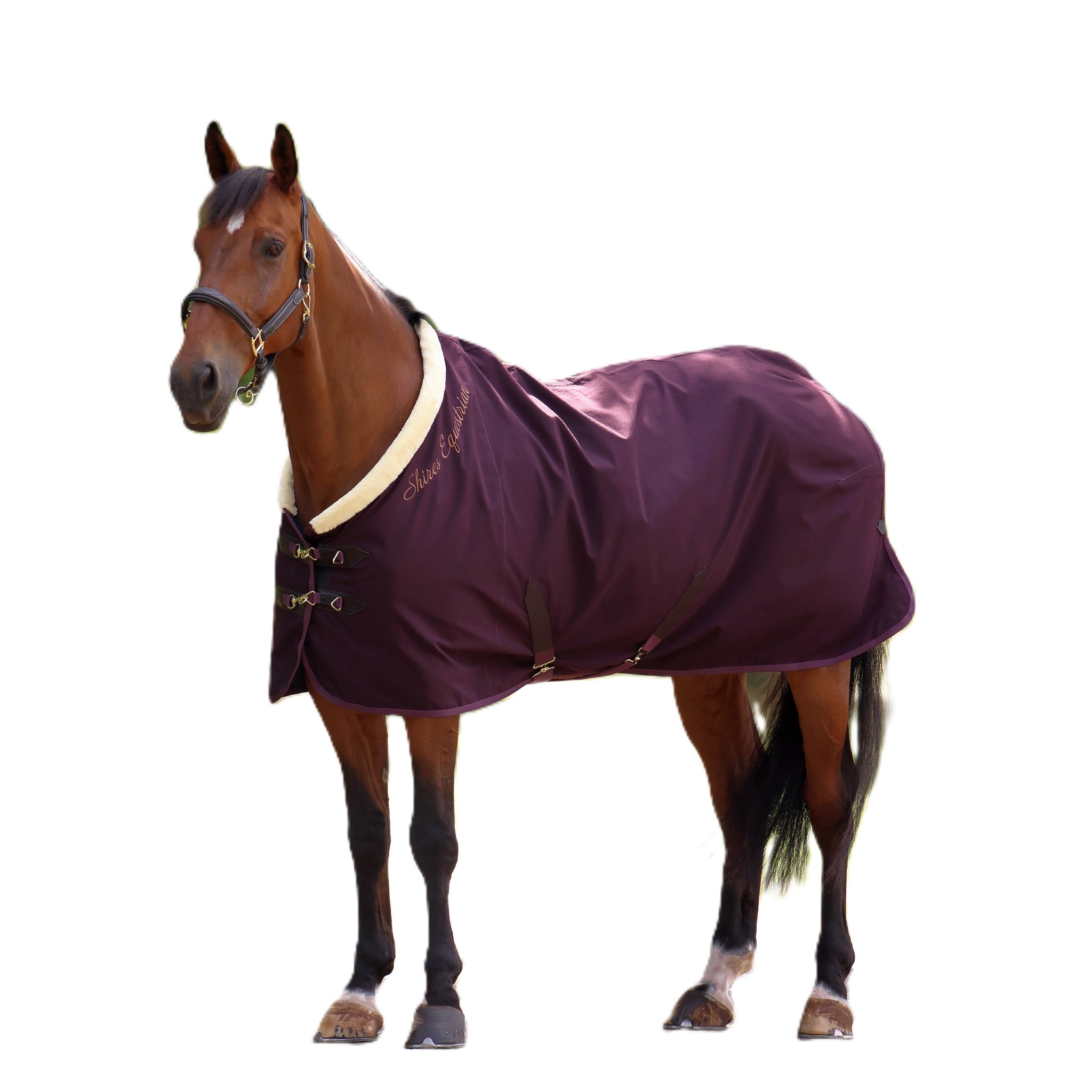 Shires Deluxe Stable Sheet