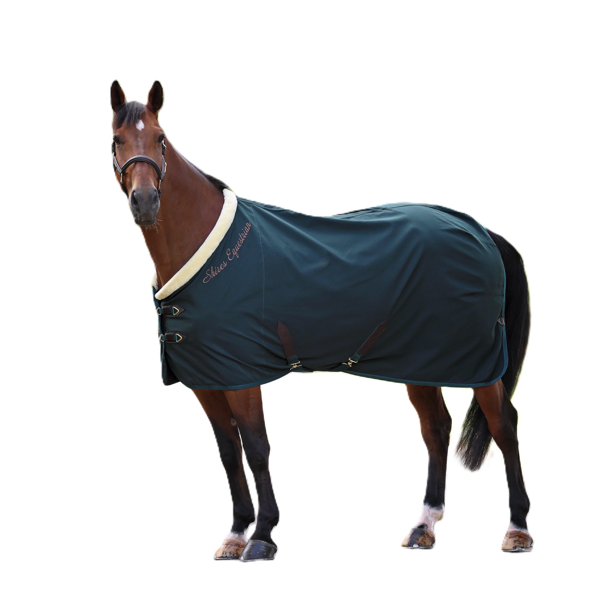 Shires Deluxe Stable Sheet