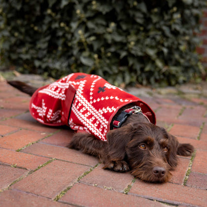 Horze Santa Dog Fleece Coat