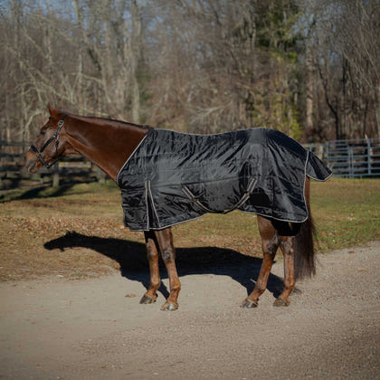 Equinavia Norse Gusseted Stable Blanket 200g