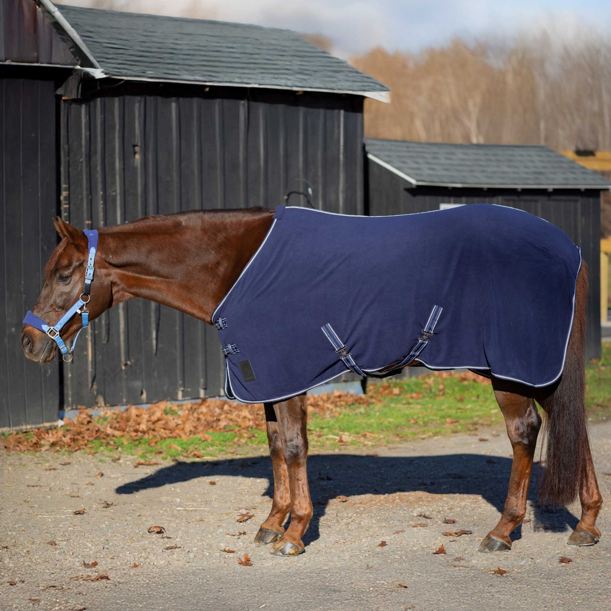 Equinavia Norse Fleece Cooler