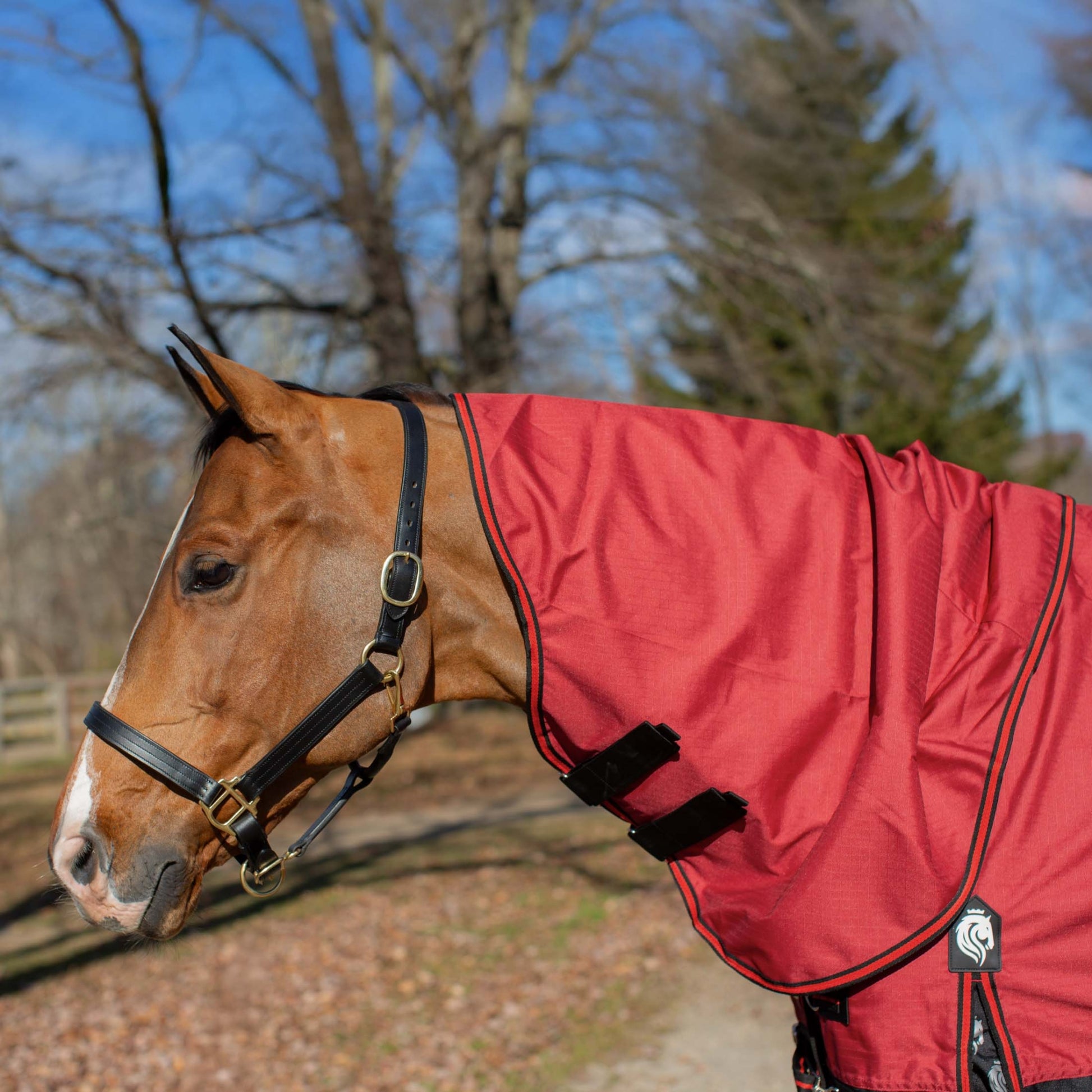 Equinavia Norse Neck Cover - No Fill