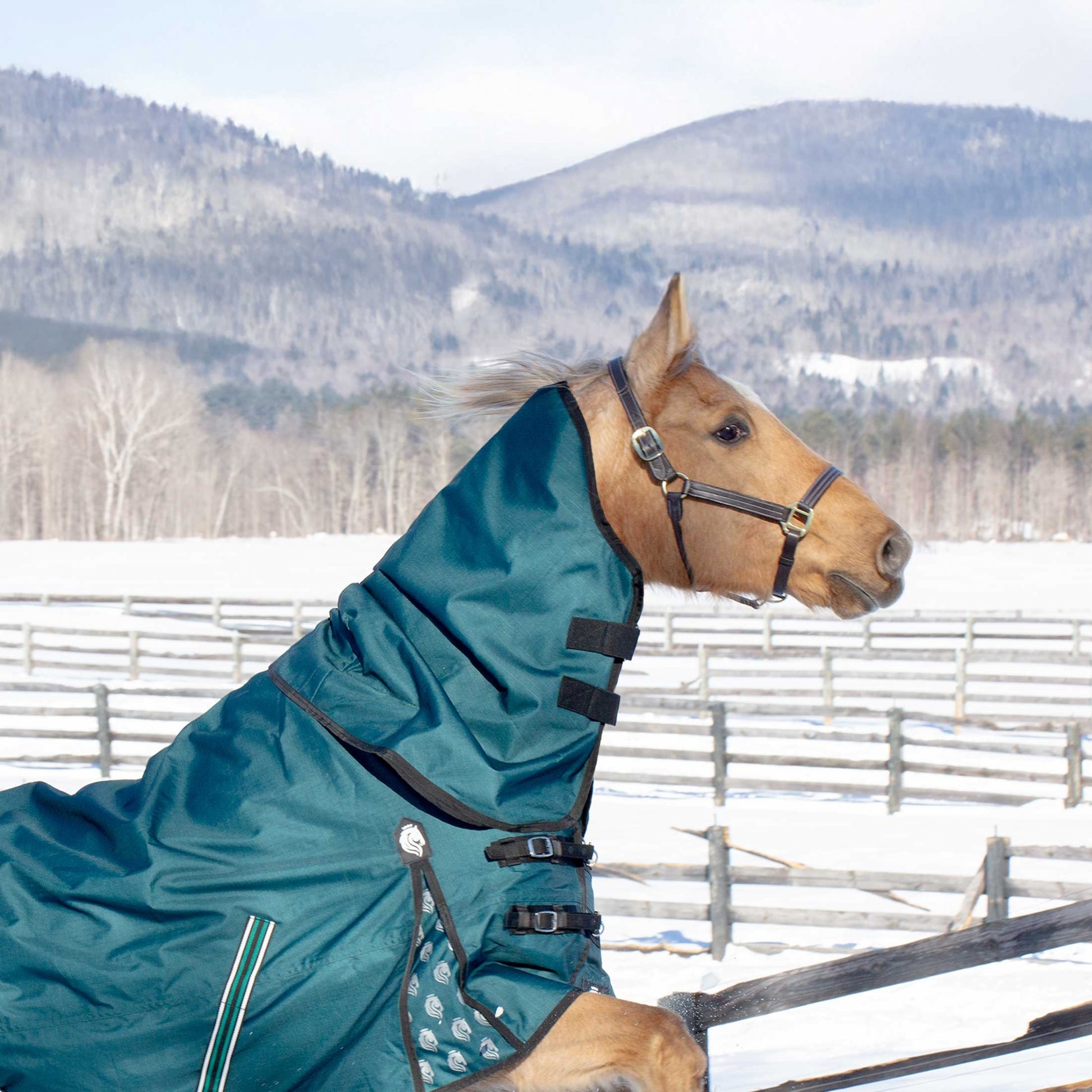 Equinavia Arktis Neck Cover No Fill