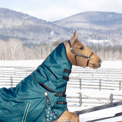Equinavia Arktis Neck Cover 200g