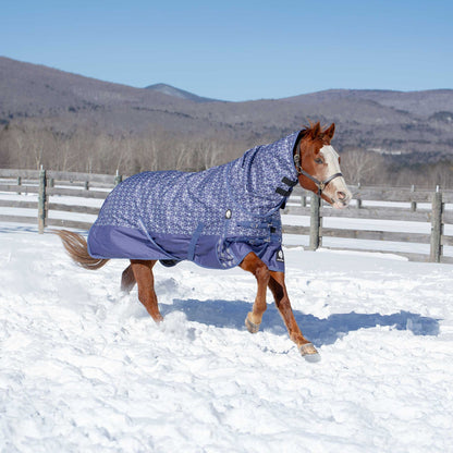 Equinavia Arktis Neck Cover 200g