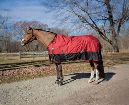 Equinavia Norse Turnout Sheet