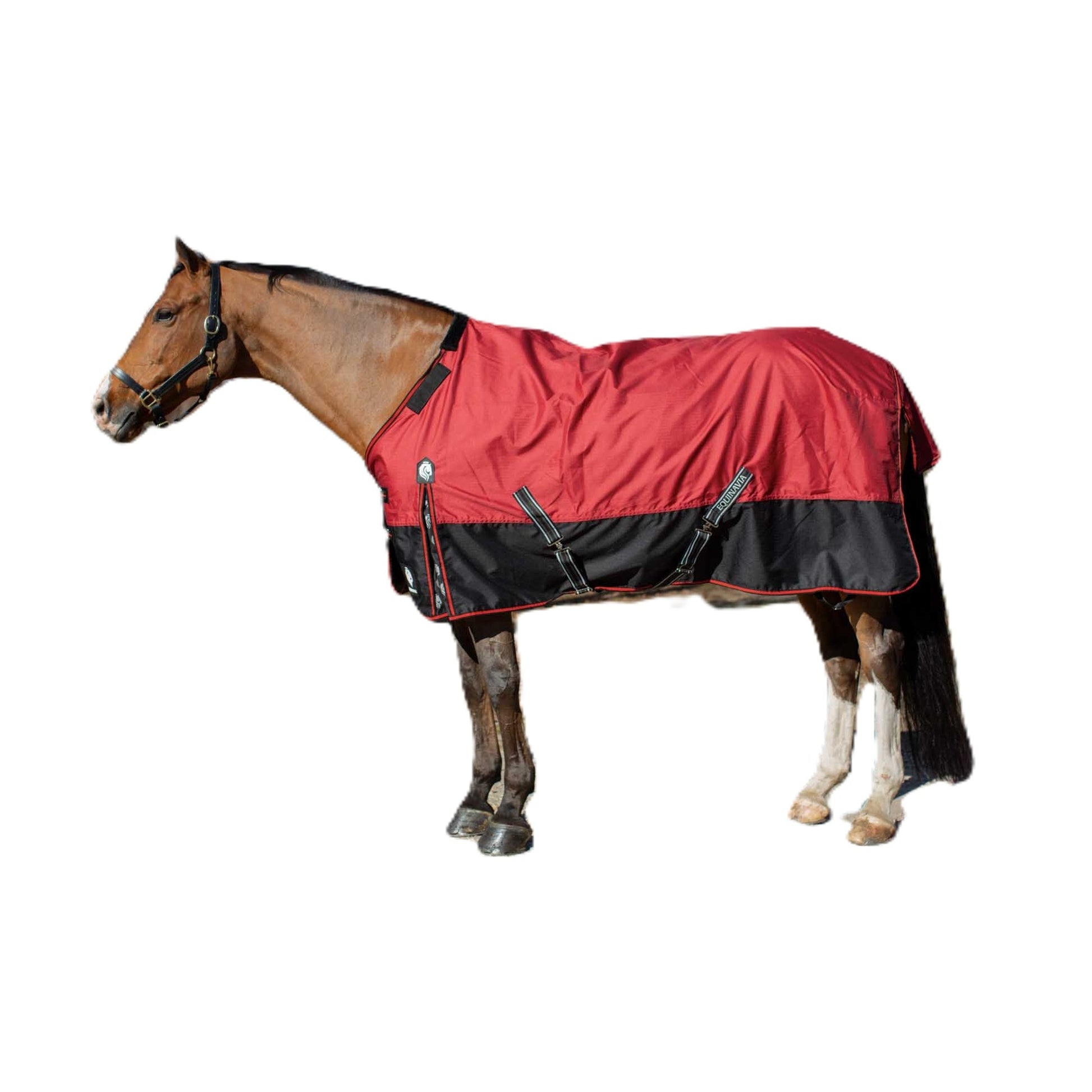 Equinavia Norse Turnout Sheet