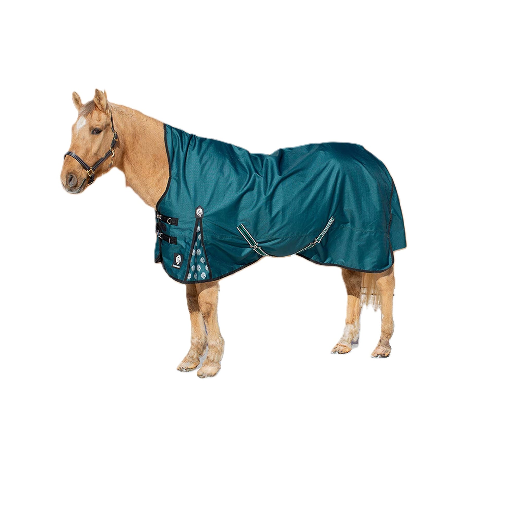 Equinavia Arktis Extended Neck Mid Weight Turnout Blanket 200g