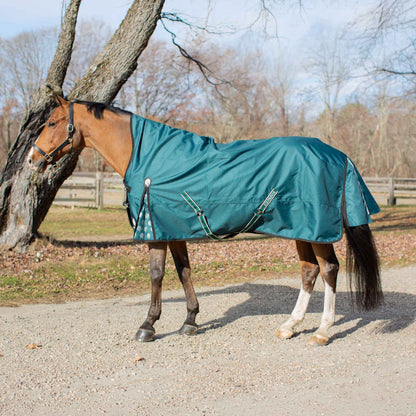 Equinavia Arktis Extended Neck Heavy Weight Turnout Blanket 300g